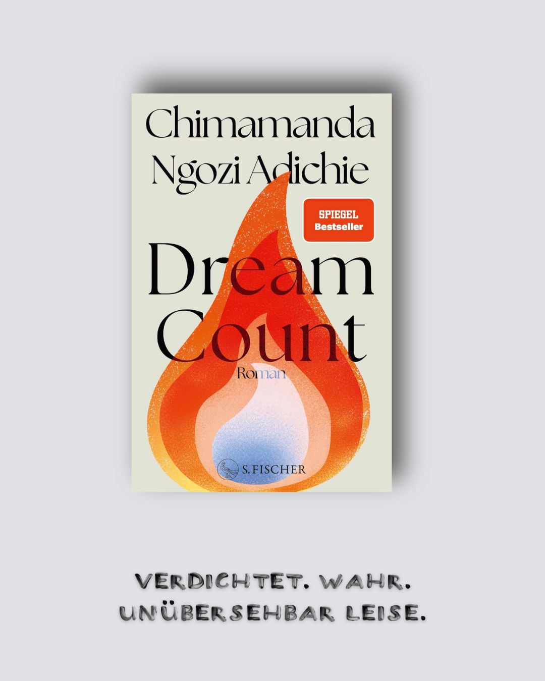 Chimamanda Ngozi Adichie: Dream Count