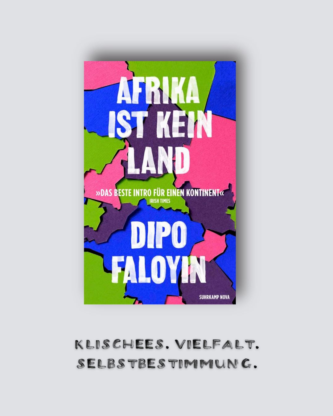 Dipo Faloyin: Afrika ist kein Land