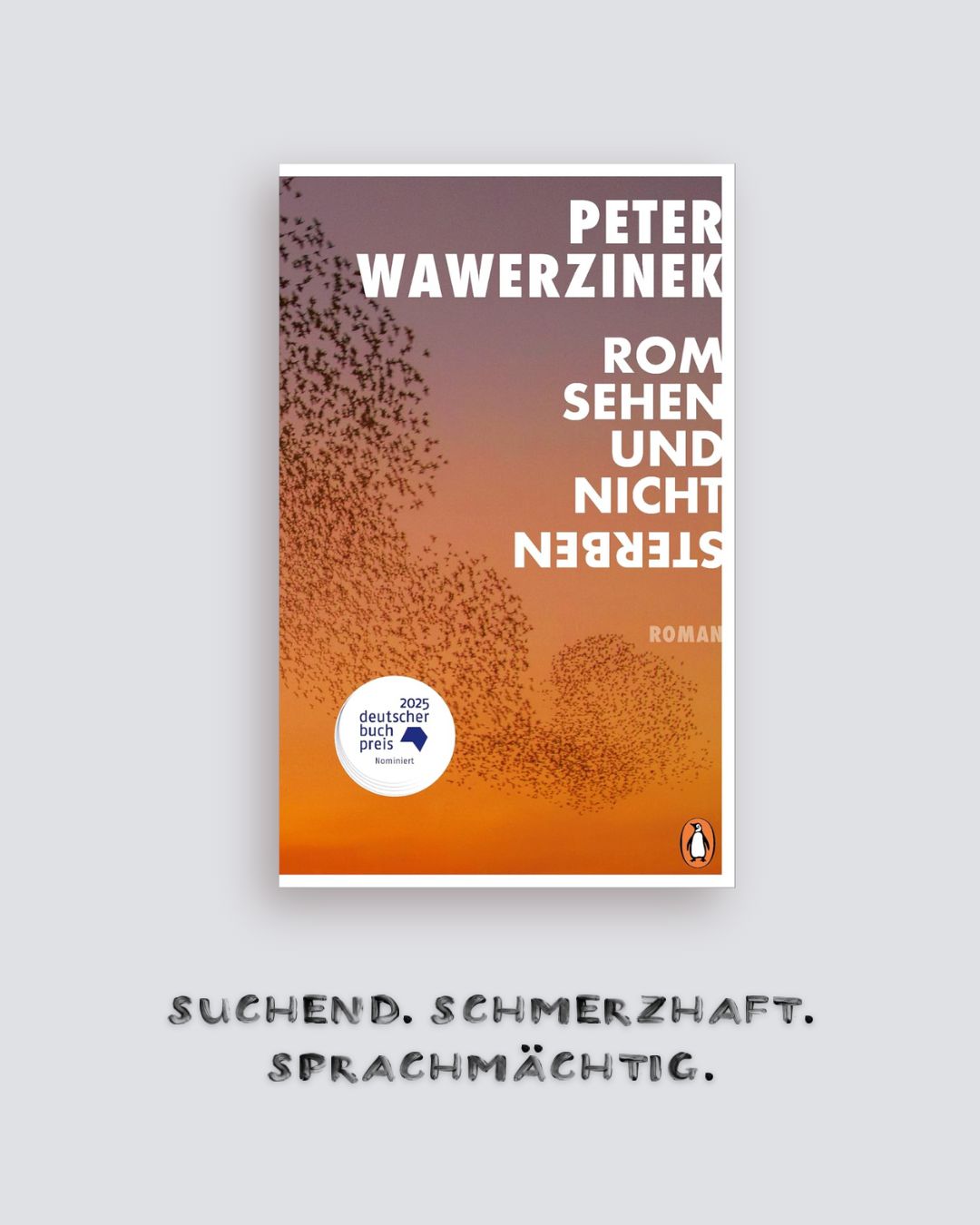 Peter Wawerzinek: Rom sehen und nicht sterben