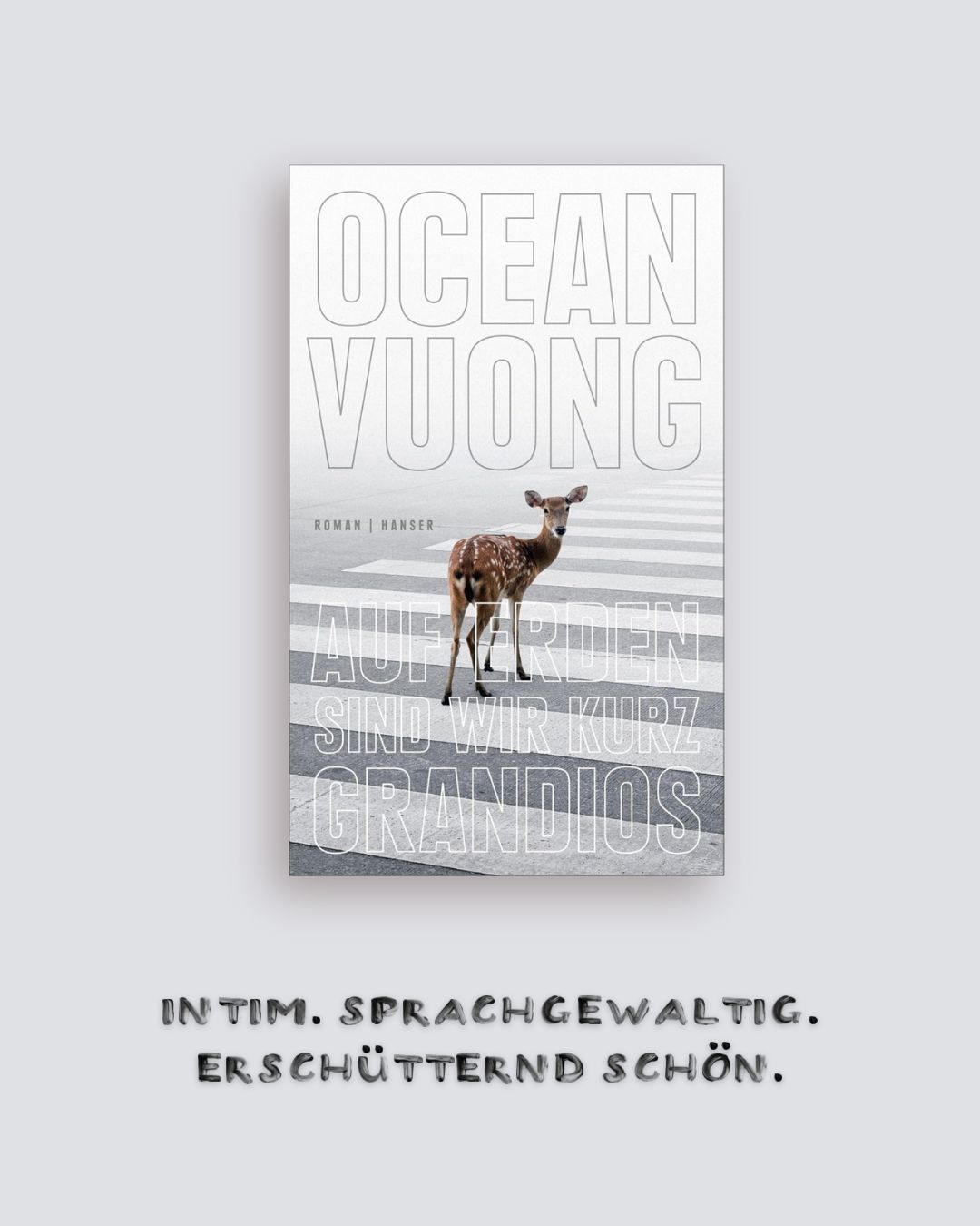 Vuong, Ocean: Auf Erden sind wir kurz grandios